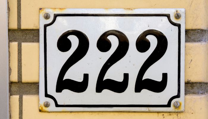 career meaning of 222 angel number