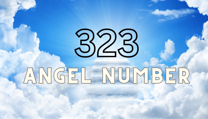 323 angel number meaning by angel number calculator